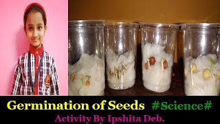 Germination Of Seeds Class IV Abdul in the Garden Experiment Science Activity  By Ipshita Deb [upl. by Henebry]