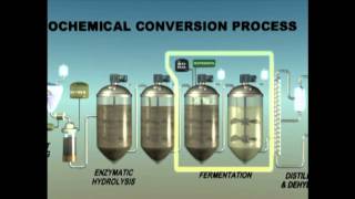 Biochemical Enzymatic Hydrolysis [upl. by Anirol]