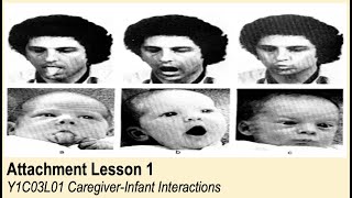 ALevel Psychology AQA Attachment  CaregiverInfant Interactions [upl. by Lepine]