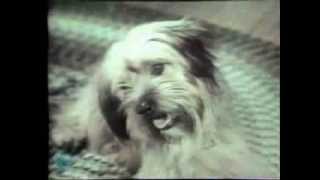 1970 Chuck Wagon Dog Food Commercial [upl. by Moria880]