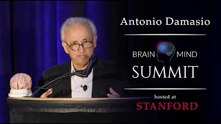 Antonio Damasio  Feeling and Consciousness [upl. by Quiteria]