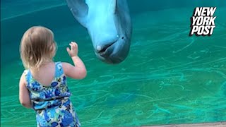 Dolphin chats with little girl ‘He’s talking to you’ [upl. by Llenrep]