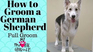 How to DeshedGroom a German Shepherd [upl. by Anatol]