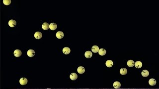 Bouncing Tennis ball Sound Effect [upl. by Yerffoj272]