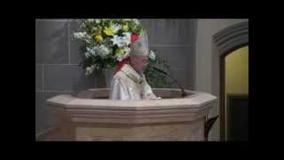 Homily Archbishop Carlo Maria Viganó visits the diocese [upl. by Medarda]