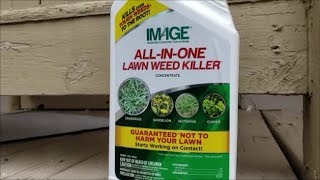 Finally A Goosegrass Killer [upl. by Molton]