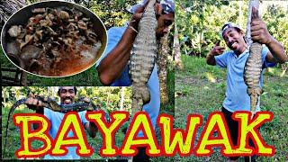 BAYAWAK Catch in a TRADITIONAL TRAP CLEAN AND COOK exoticfood [upl. by Suirred531]