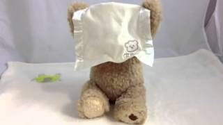 Peekaboo Bear  GUND Talking Teddy Bear Gift [upl. by Nierman]