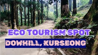 Eco Tourism Spot Dowhill Kurseong A Newly Developed Eco Park Located at Pine Forest Dow Hill [upl. by Tybi]