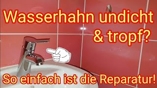 Wasserhahn tropf  ganz einfach reparieren MischbatterieEinhandmischer undicht  Anleitung amp Tipps [upl. by Jopa]