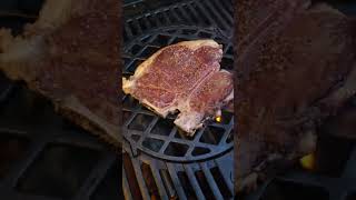 A 10 week dry aged tbone steak [upl. by Regine]