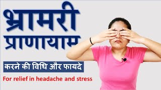 Bhramri Pranayama  भ्रामरी प्राणााम करने की विधि और फायदे  Neelam Kumar [upl. by Thurmond997]