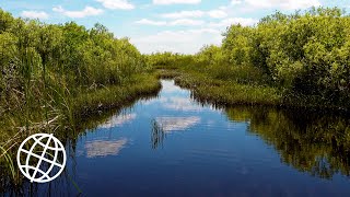 Everglades National Park Florida USA Amazing Places 4K [upl. by Ahsinam]