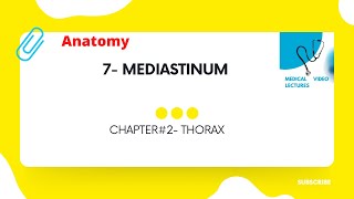 Mediastinum  CHAPTER2 THORAX [upl. by Ellerrehs]