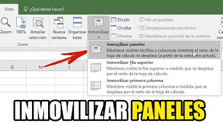 INMOVILIZAR PANELES EN EXCEL MANEJAR VENTANAS SIMULTANEAS [upl. by Doscher]