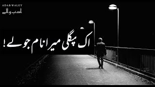 Ik pagli mera naam jo ley by Mohsin Naqvi  Adab Waley [upl. by Piotr]