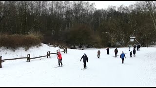 Biegówki w Lesie Bródnowskim [upl. by Maker]