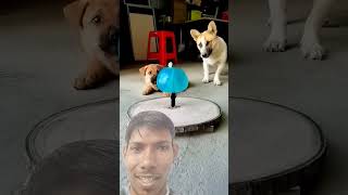 Closeup of the process of creating beautiful Slowmotion art videos short dogs tiktok challenge [upl. by Lilac]