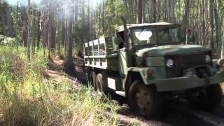 Military Vehicle Offroad Trail Ride [upl. by Occir166]