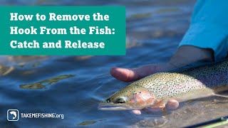 How to Remove the Hook From the Fish Catch and Release [upl. by Talmud]