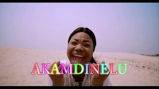 Mercy Chinwo  Akamdinelu  Instrumental Cover [upl. by Pentheam]