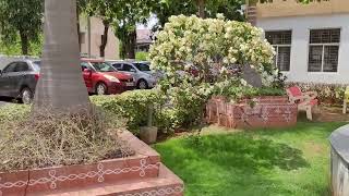 Greenery in Campus  Matrusri Engineering College [upl. by Head535]