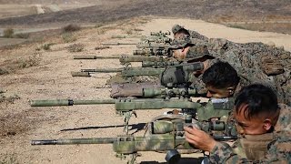 Marine Sniper Training  The First 2 Weeks of USMC Scout Sniper Training [upl. by Viole]