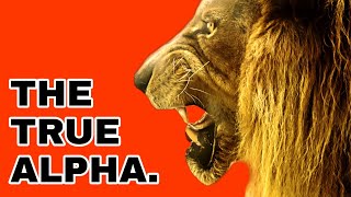 PSYCHOLOGY OF A TRUE ALPHA  ALPHA VS BETA MALE  Psychology in Hindi [upl. by Netsrek]