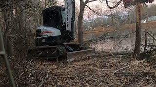 Bobcat E50 Compact Excavator with Fecon FMX36 Forestry Mulcher [upl. by Otis527]