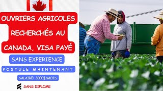 OUVRIERS AGRICOLES AU CANADA AVEC VISA GRATUIT EN 2024 AUCUNE FORMATION AUCUNE EXPÉRIENCE [upl. by Anderegg]