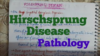 Hirschsprung Disease Pathology [upl. by Cand]