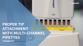 Proper Tip Attachment with Eppendorf MultiChannel Pipettes featuring SpringLoaded Tip Cones [upl. by Drageruaeb768]