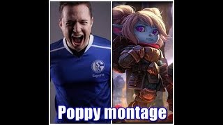 Vizicsacsi  Poppy MONTAGE [upl. by Yrrag]