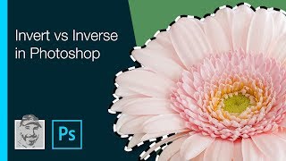 Invert vs Inverse in Photoshop [upl. by Remus527]