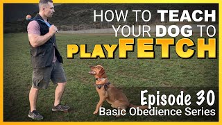 How to Teach Your Dog To Play Fetch Episode 30 [upl. by Mieka]