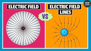 Electric Field and Electric Field Lines  Physics [upl. by Ditter]