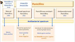 Penicillin antibacterial spectrum four penicillin groups [upl. by Janna19]