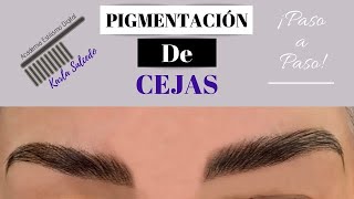 Pigmentación de cejas J Denis Paso a Paso [upl. by Joses]