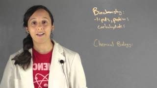 The Difference Between Biochemistry amp Chemical Biology  Chemistry Lessons [upl. by Rebmit172]