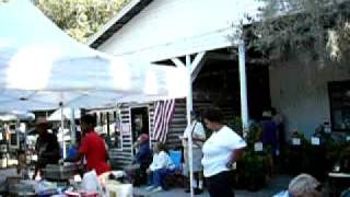 Micanopy Fall Festival at Gallery Under the Oaks [upl. by Deragon]