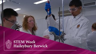 Haileybury Berwick  STEM Week [upl. by Eillas]