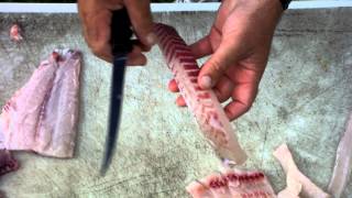 How to debone an Asian carp fillet [upl. by Ollehcram]