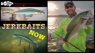 Jerkbait Fishing for Bass Tips to Maximize Success [upl. by Holli]