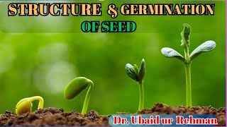 147 Structure of Seed  Germination of Seed Epigeal amp Hypogeal  Class 10th  Biology [upl. by Ainud]