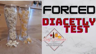 Forced Diacetyl Test when brewing beer [upl. by Mulcahy]