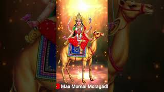 Kuldevi momay maa 2024 love youtube shorts viralvideo [upl. by Shiekh]