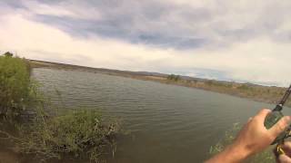 Bass Fishing at Cochiti Lake New Mexico [upl. by Cherish]