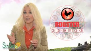 Rooster Horoscope 2020 Predictions [upl. by Paymar964]