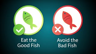 Benefits and Risks of Eating Fish [upl. by Nekcerb]