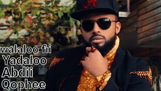 Farhaan Sulee  New Ethiopian Oromo Music 2021 [upl. by Tnerual]